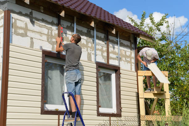 Professional Siding Services in Elmwood, LA